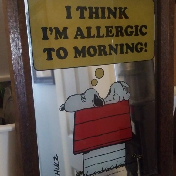 Vintage 1958 Snoopy Wood Framed Mirror Picture I Think I'm Allergic to Morning - Picture 1 of 2
